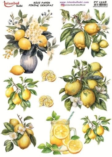 Limonlu Desenler